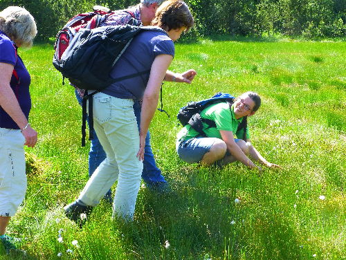 Familienwanderung „Mit Spiel und Spaß am Moor“